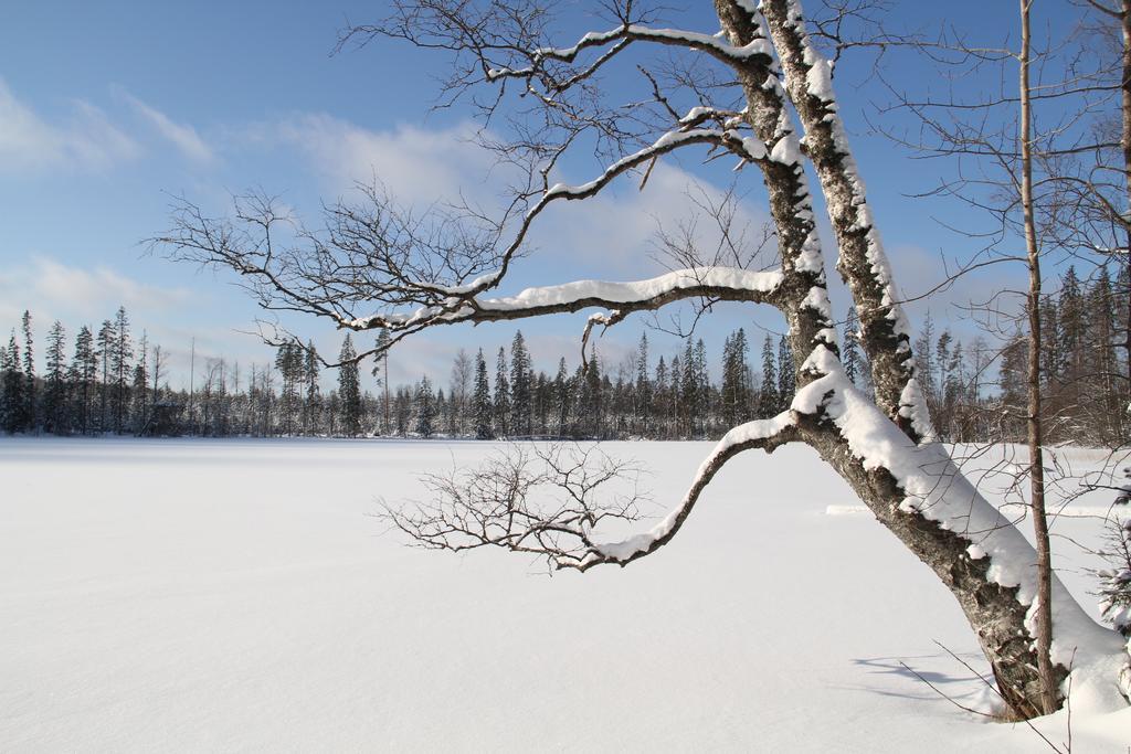 Miiluranta Villas Haapamäki Екстериор снимка
